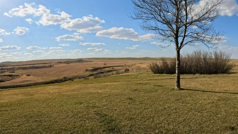 Beyond the Desert: The Surprising American States Where Meteorites Are Waiting to Be Found