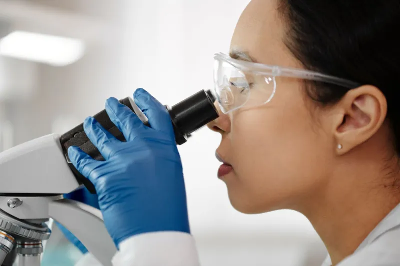 Stone Cold Proof: The Forensic Science Behind Authenticating a Meteorite