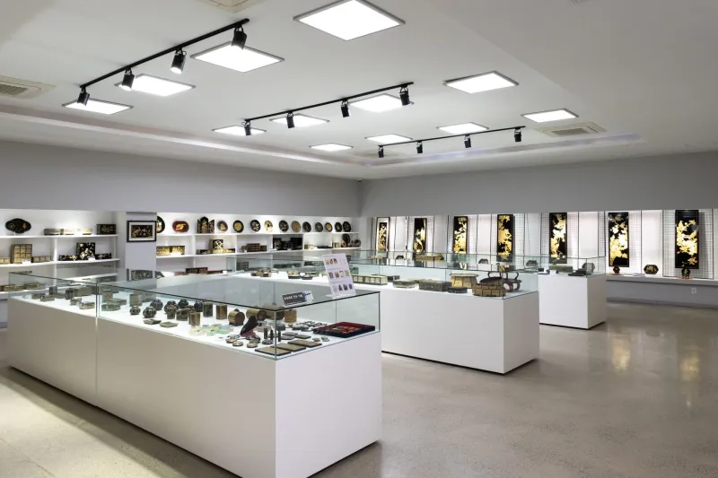Keeping the Cosmos Intact: A Collector's Guide to Long-Term Meteorite Preservation