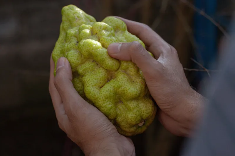 Could That Strange Rock in Your Yard Be From Outer Space? Here's How to Find Out